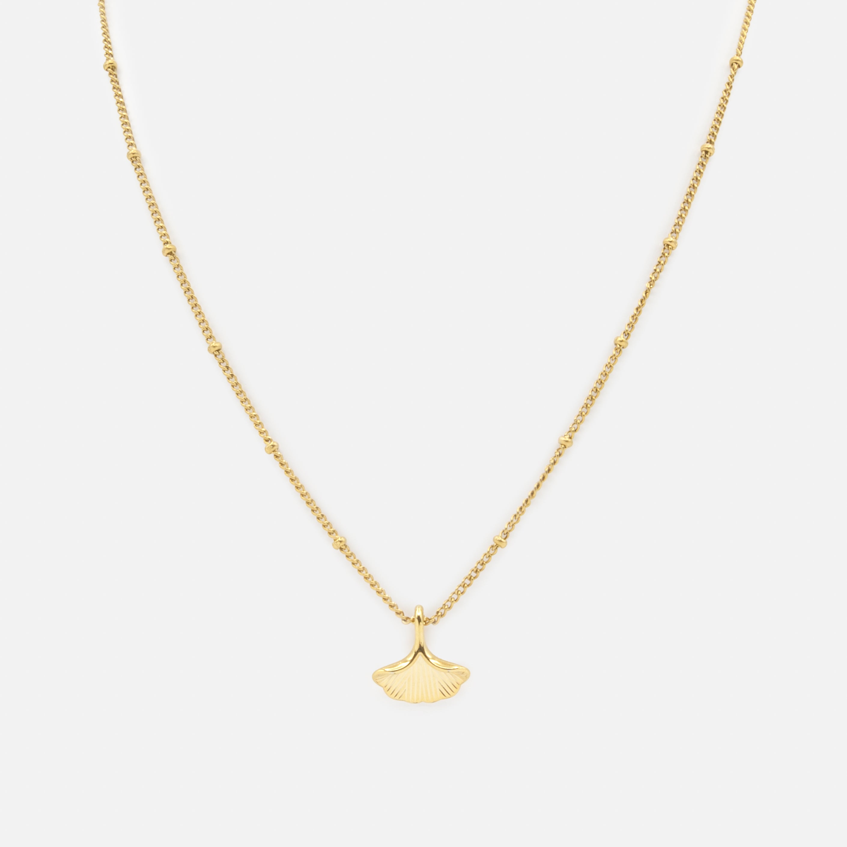 Golden shell necklace
