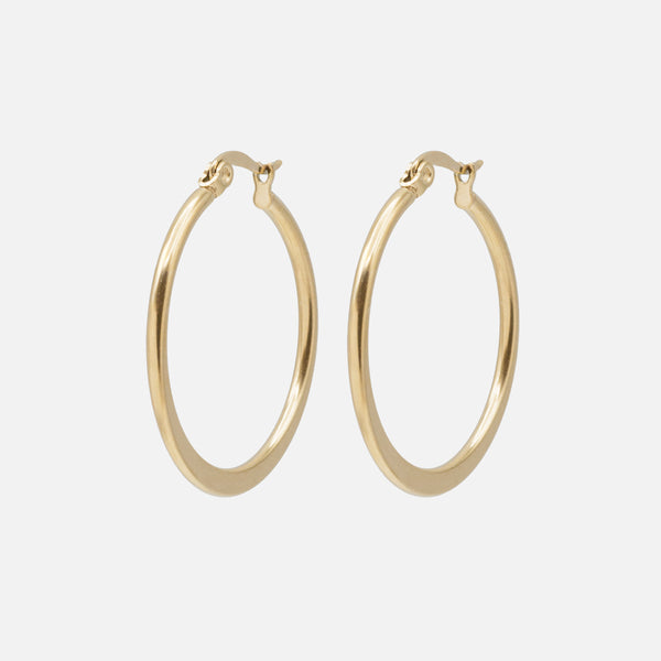 Load image into Gallery viewer, Stainless steel golden hoop earrings