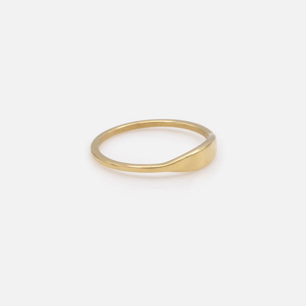 Load image into Gallery viewer, Minimalist ring in gold stainless steel.