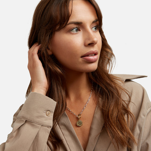 Load image into Gallery viewer, Silvered chain with golden medallion in stainless steel