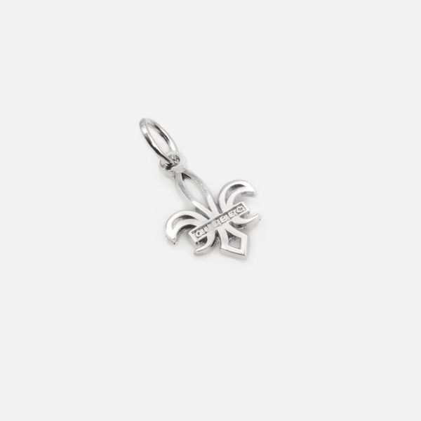 Load image into Gallery viewer, Sterling silver fleur-de-lys charm
