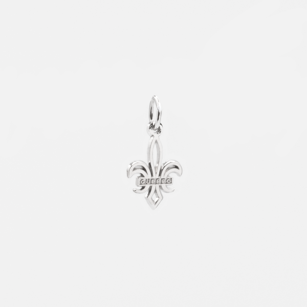 Load image into Gallery viewer, Sterling silver fleur-de-lys charm
