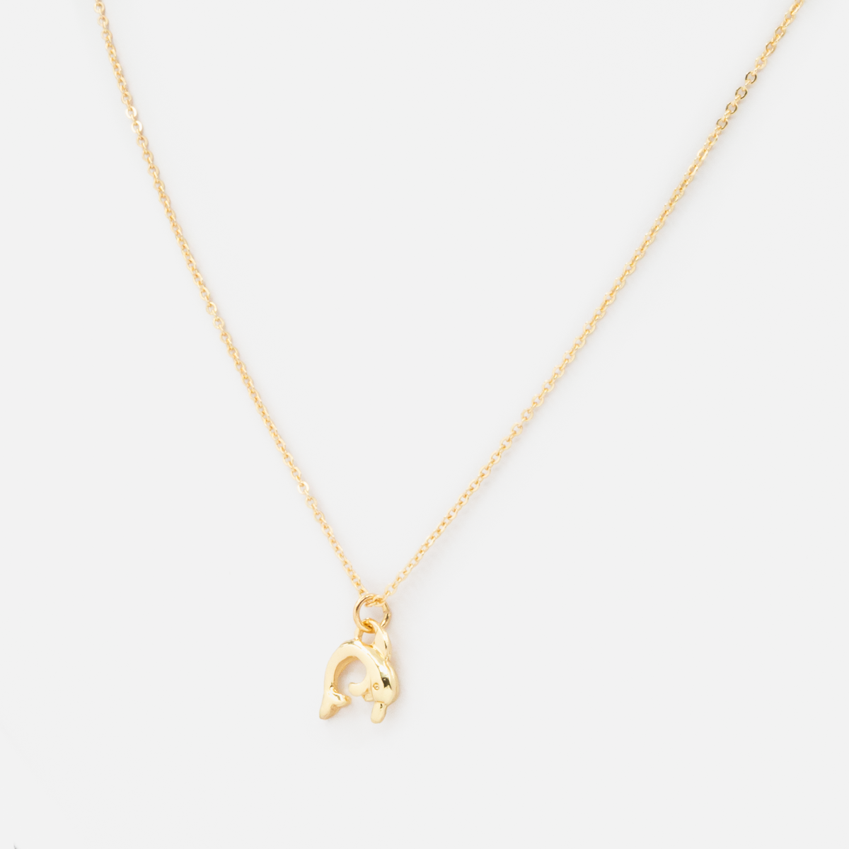 Golden chain with dolphin charm