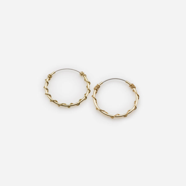 Load image into Gallery viewer, Set of fixed earrings and twisted hoops
