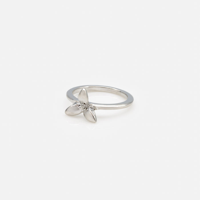 Set of five silver rings in various sizes with butterflies