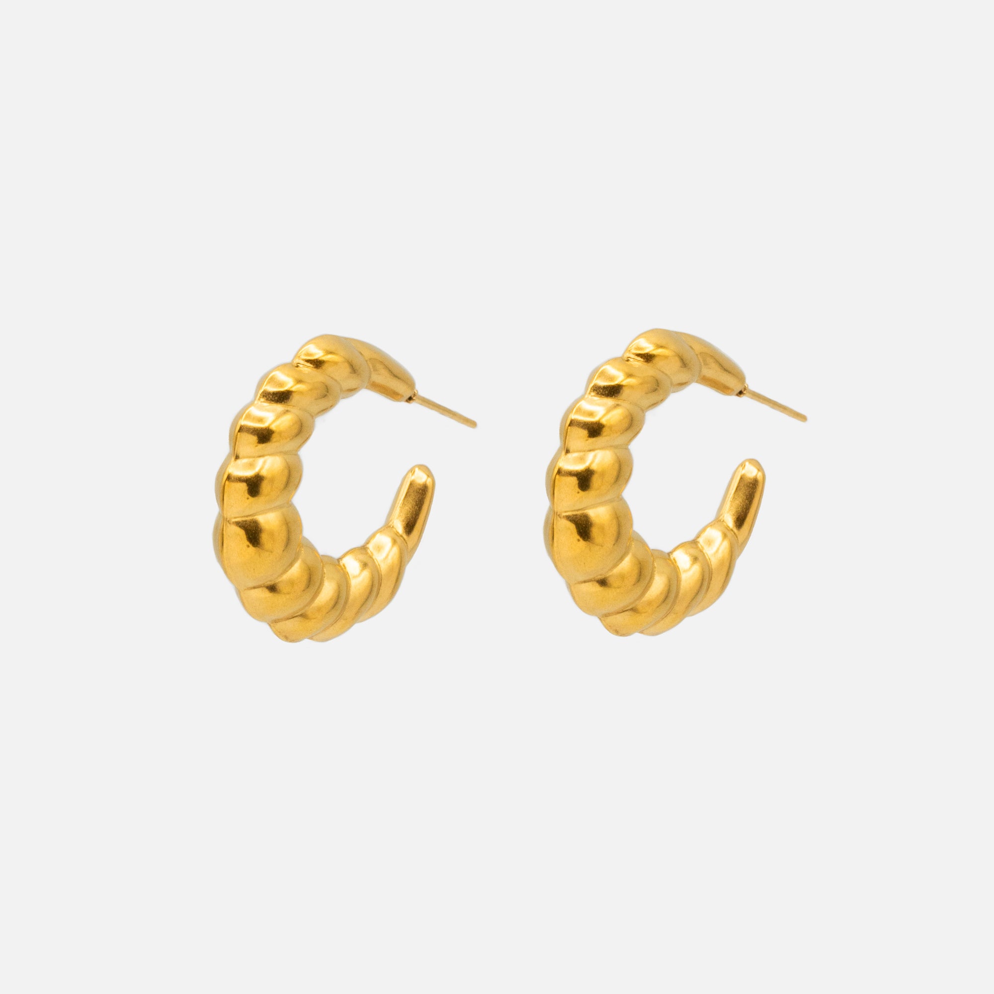 Stainless steel twisted hoop and crescent hoop earrings set