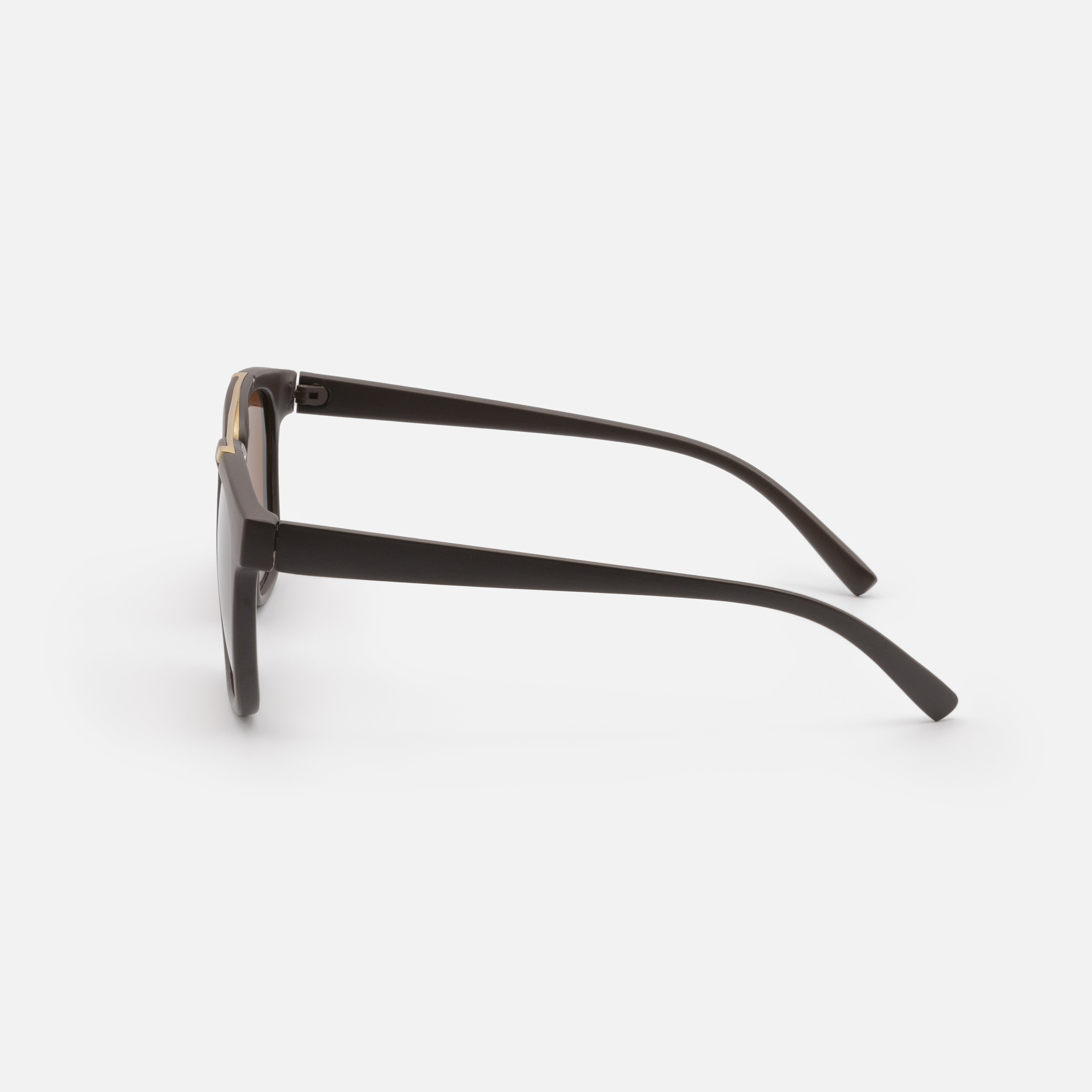 Dark brown sunglasses with gold bridge and brown lenses