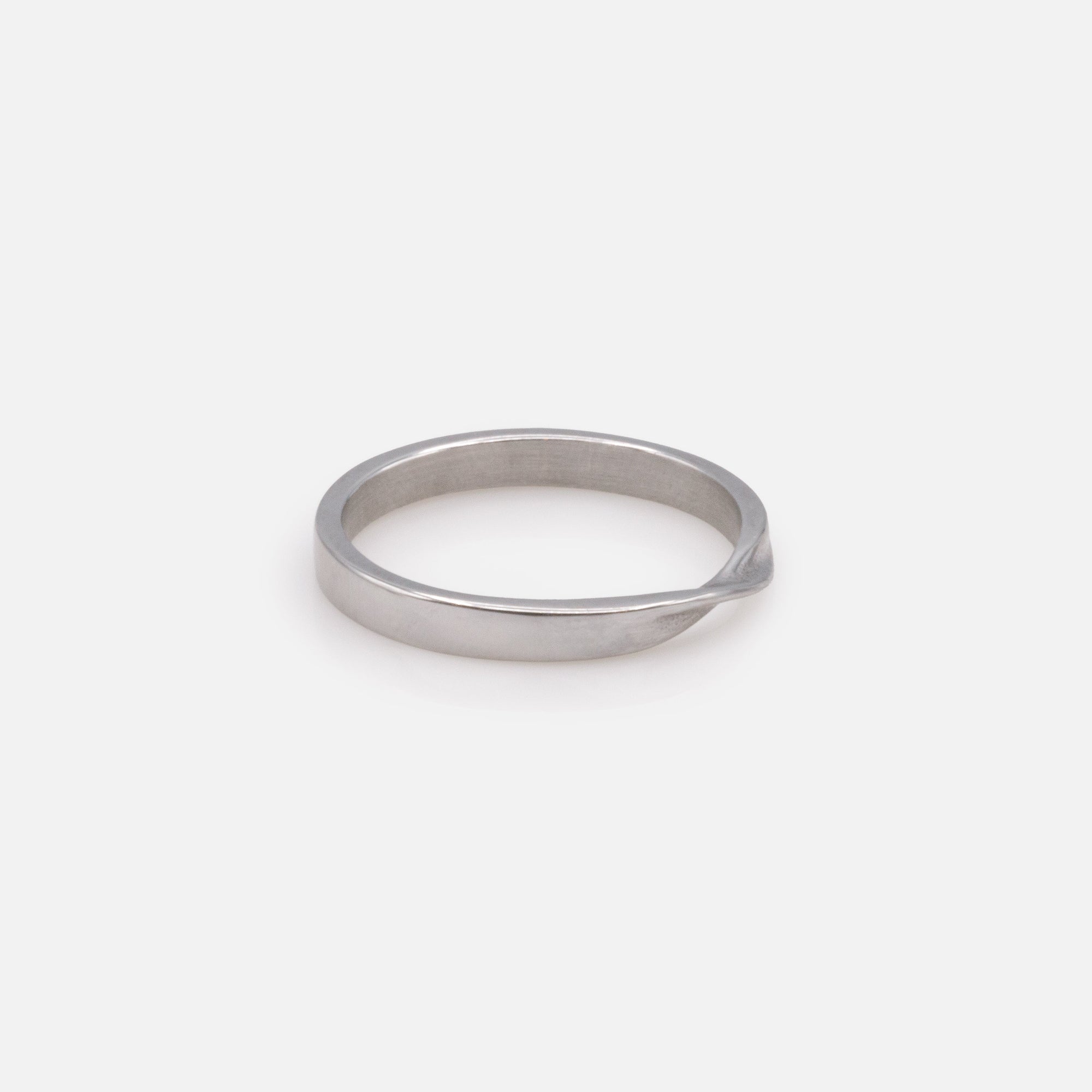 Silver ring with stainless steel twist