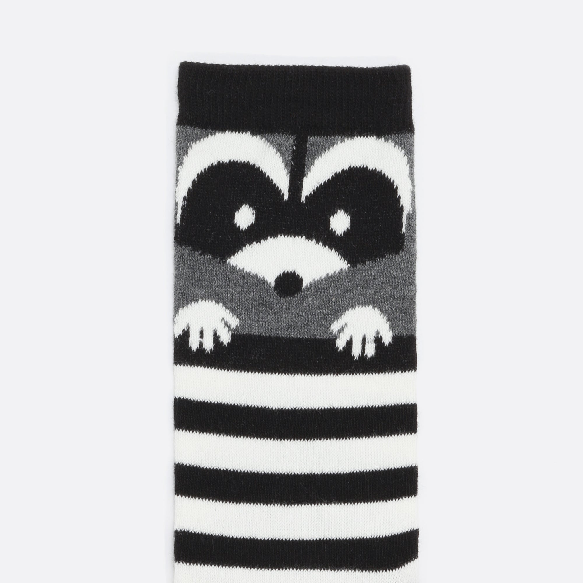 Black and white stripes socks with raccoon