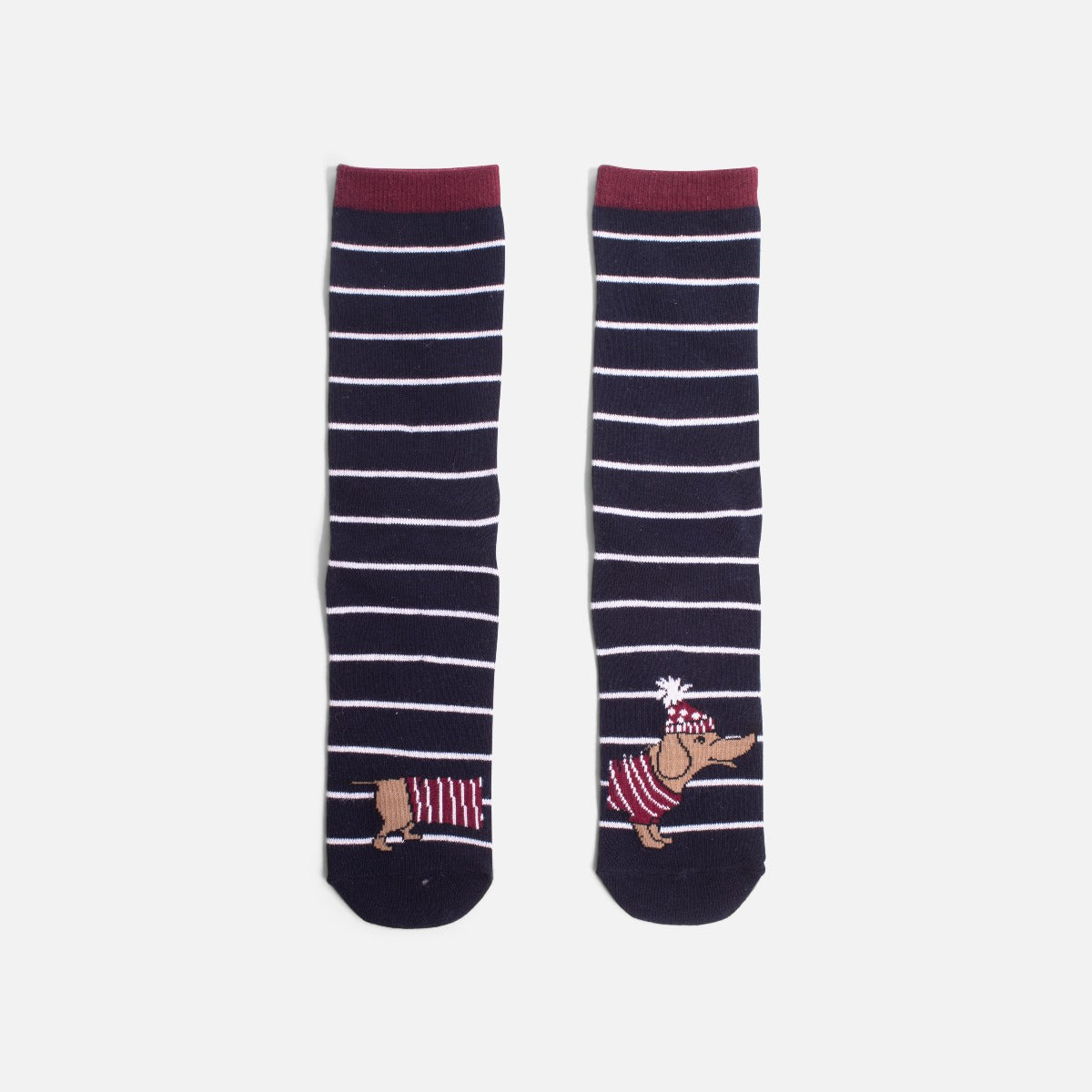 Navy blue socks with stripes and separate teckel dog   