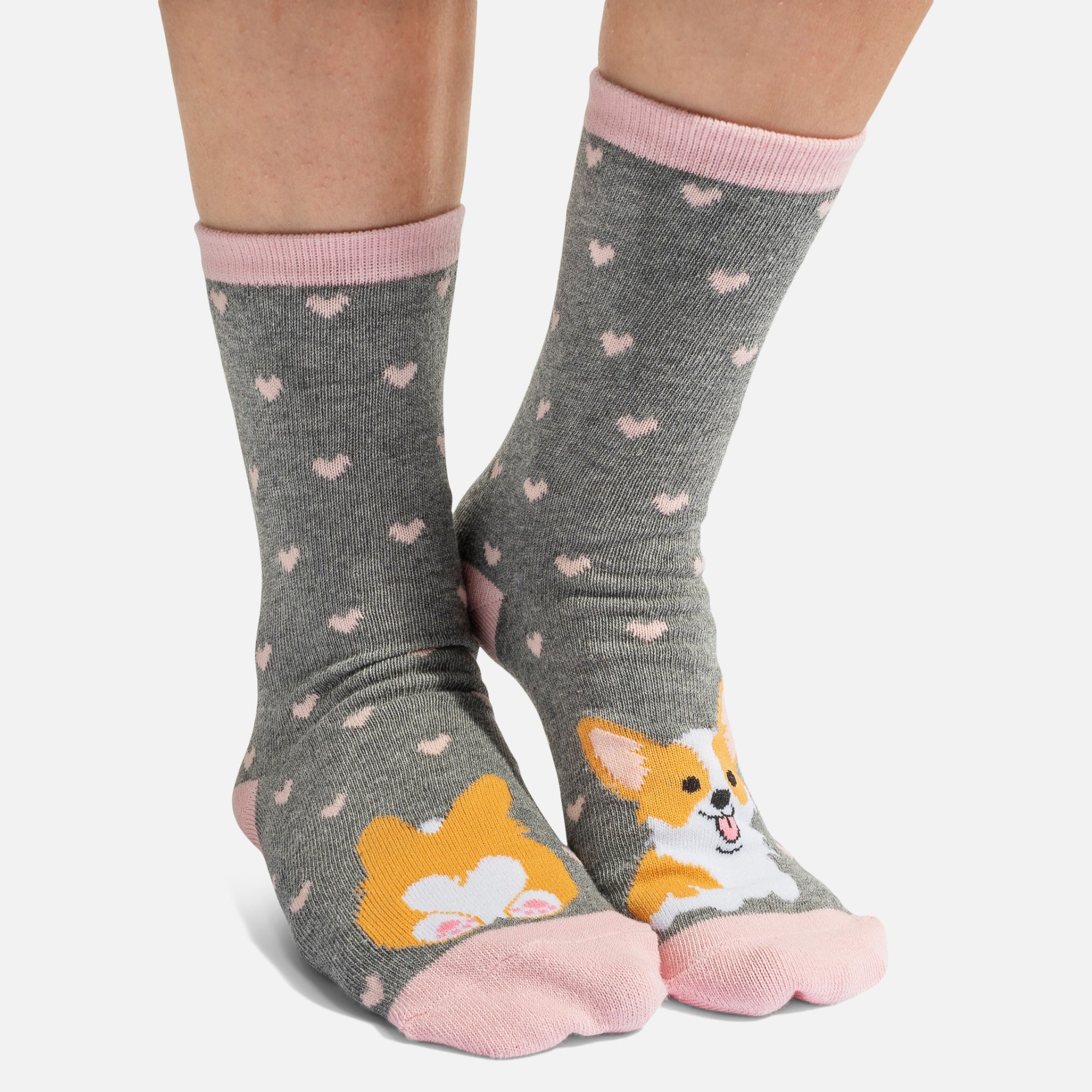 Grey socks with playful corgi