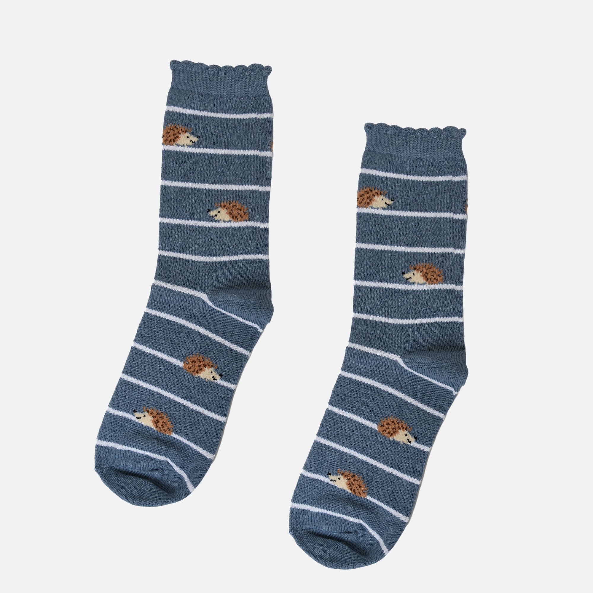 Blue socks with hedgehog on stripes