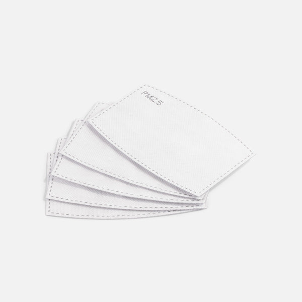Load image into Gallery viewer, Disposable filters for reusable face mask (set of 5)   

