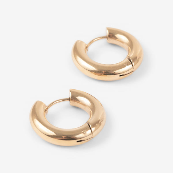 Load image into Gallery viewer, Small and thick stainless steel hoop earrings
