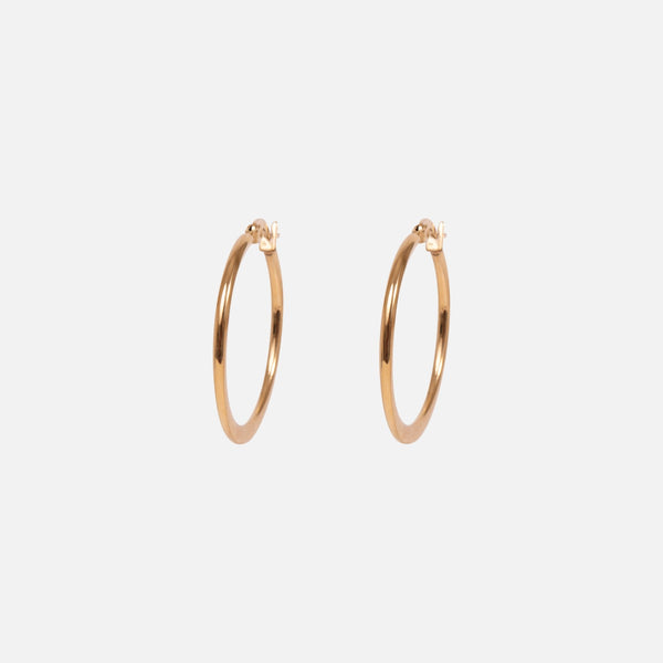 Load image into Gallery viewer, Stainless steel golden hoop earrings with stable clasp
