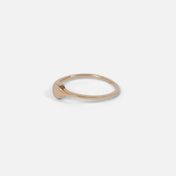 Load image into Gallery viewer, Small golden signet ring stainless steel   
